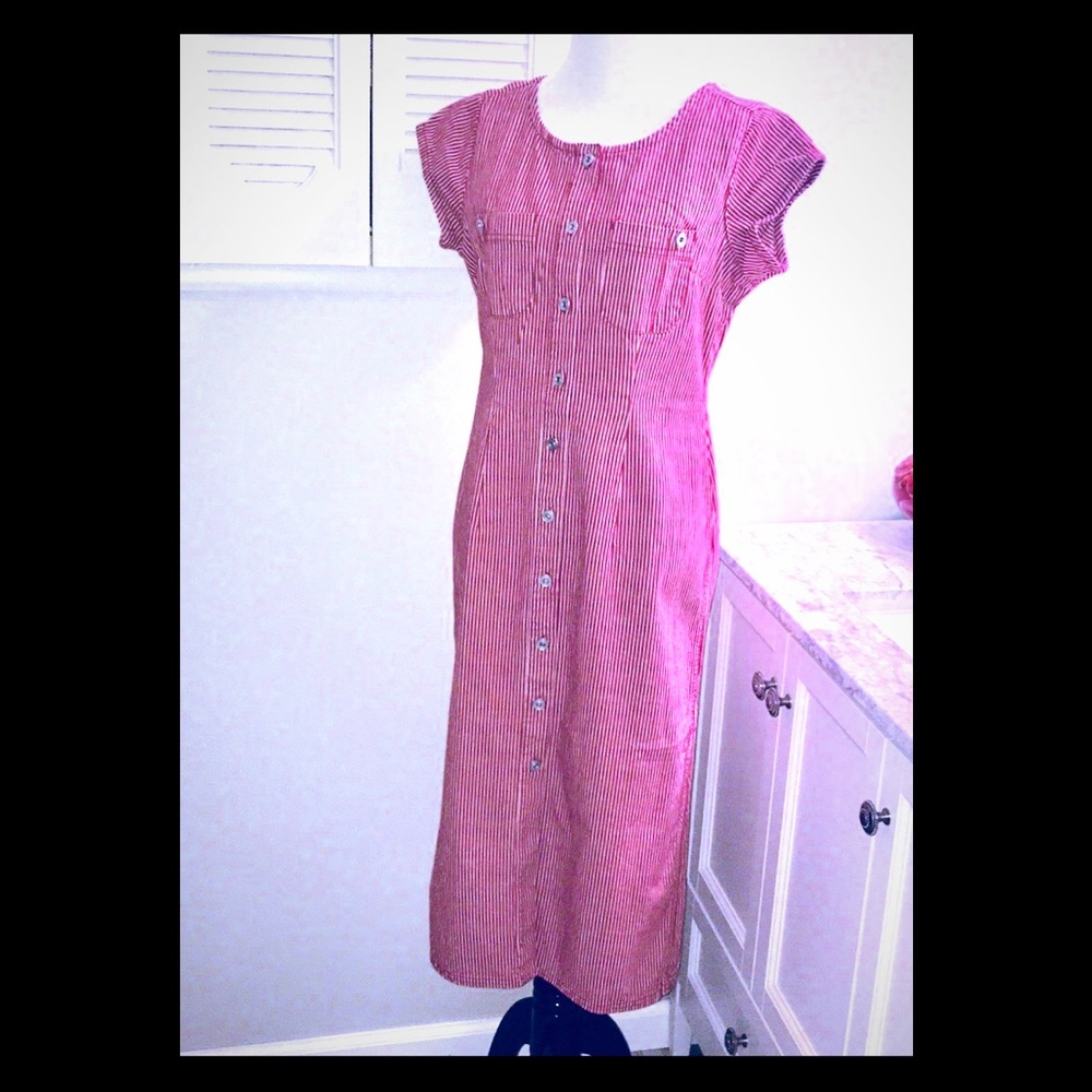 Denim Isabella Bird Long Dress